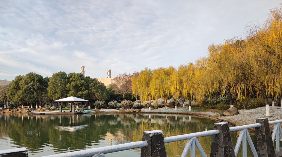 191613696565113588.jpeg 333.jpg