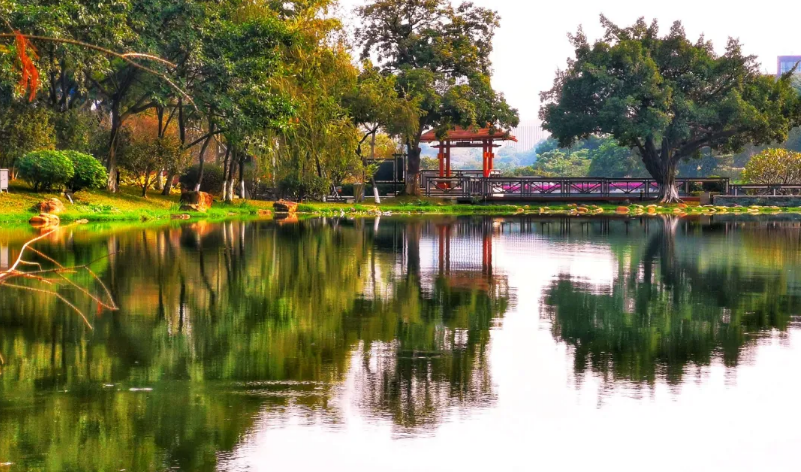 271761564784161118.png image.png